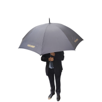 Parapluie_noir_voiturier